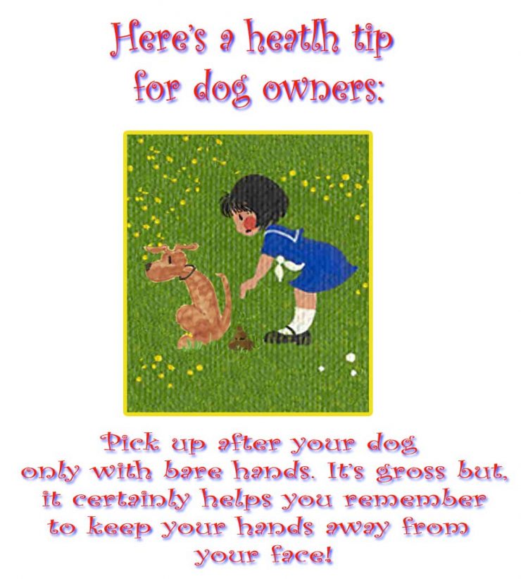 Dog pooping and girl reaching for it with writing that says, here's a health tip for dog owners, pick up after your dog only with bare hands , it's gross but it certainly helps you remember to keep your hands away from your face